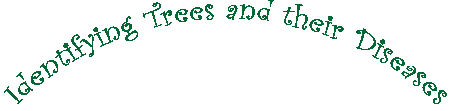 identifying trees and their diseases