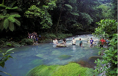 people crossing the stream rainforest